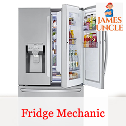 Fridge mechanic Mr. Somnath Mitra in Nimta